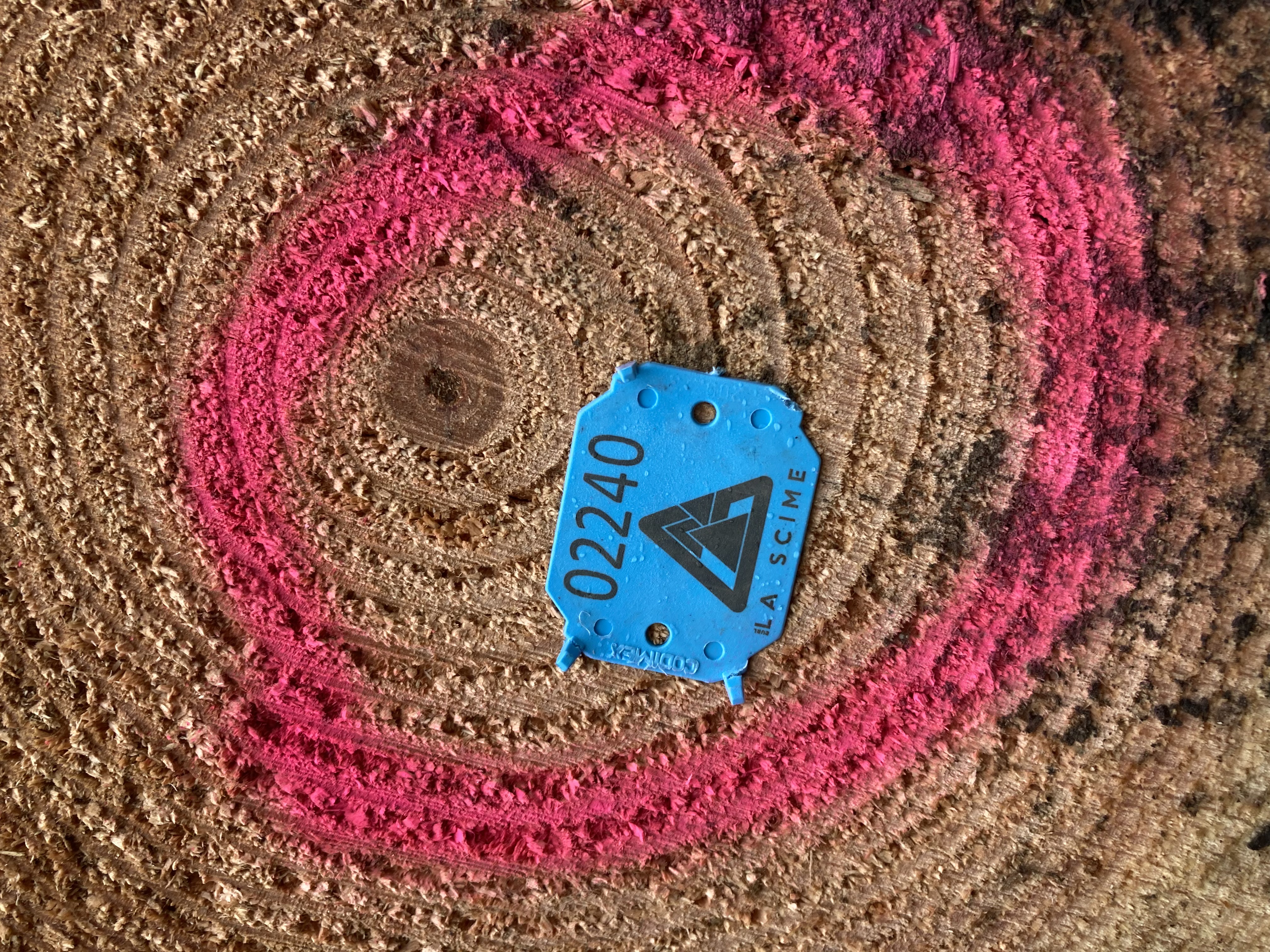 Bois de qualité sélectionné en Creuse